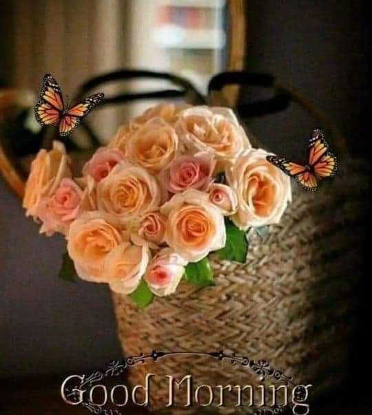 nidhinimitt's tweet photo. Stay at home stay self
#gounsocial
Good morning https://t.co/0TY3bMtGjy