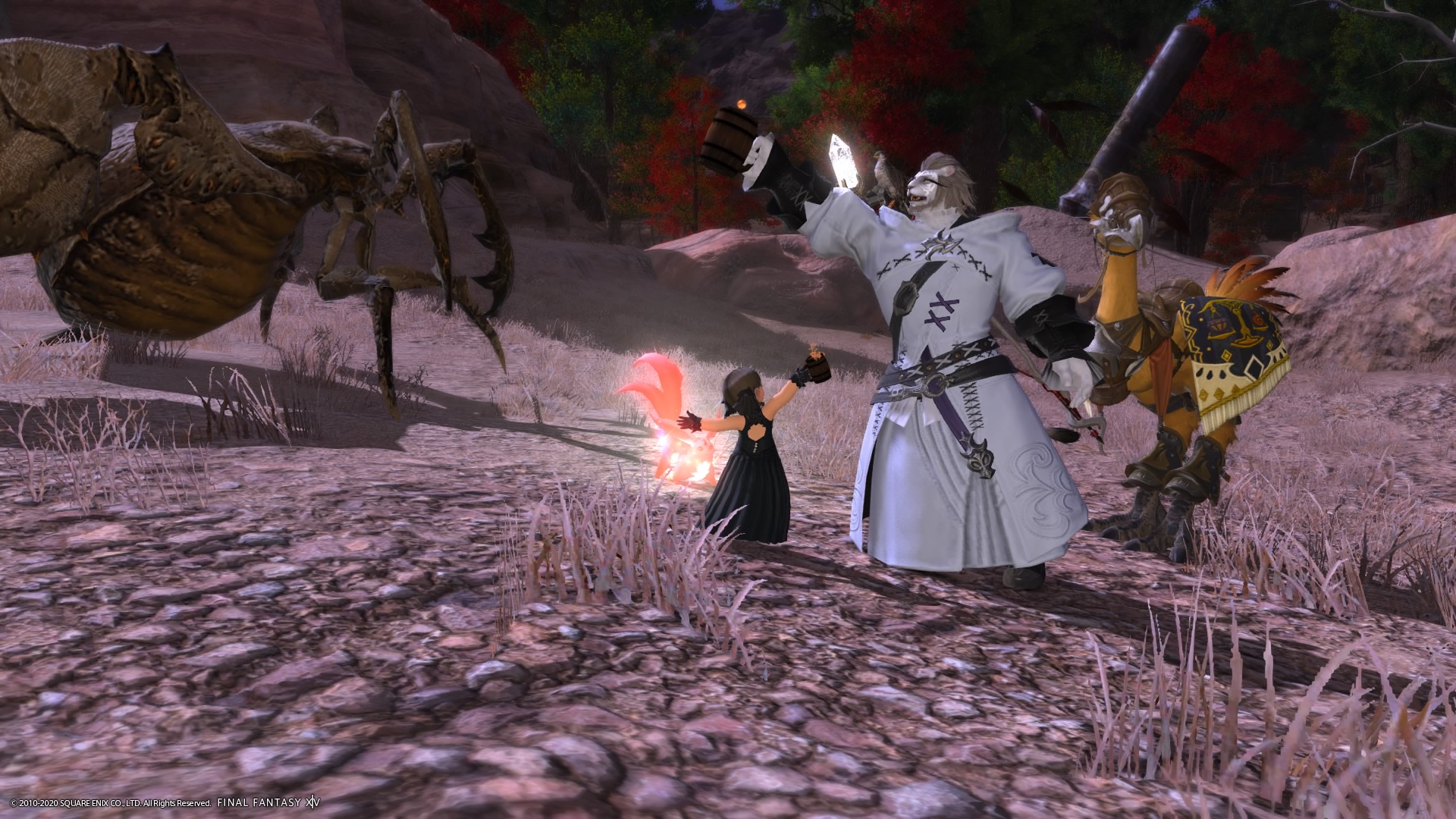 Nana Mimimi Alexander Behoさんとおっきい蟻 オルクス を倒しました かんぱ い Ff14 召喚士 白魔導士 オルクス ギラバニア辺境地帯 モブハント Aモブ Nana Mimimi Alexander Behoさんとおっきい蟻 オルクス を倒しました かんぱ い Ff14 召喚士 白魔導士 オルクス ギラバニア辺境地帯 モブハント Aモブ