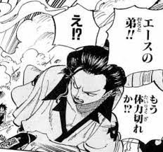 ルネメタル カン十郎が裏切った事で人数が欠けた赤鞘 そう言えばイゾウは出てこないのだろうか 菊との再会も見たい イゾウ は菊が年ワープした事を知らないはずよね多分 ということは再会したら菊の昔と変わらない姿に驚くはずだよなぁ