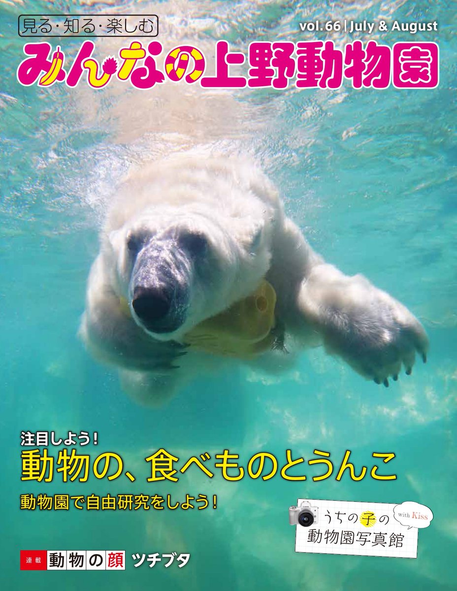 上野動物園 公式 休園中も楽しめる学習の場として 過去のフリーペーパーの内容を一部ご紹介いたします 現在の状況と異なる場合があります 2時間目 理科 動物 の 食べ物とうんこ T Co Ol1rqs55on Webから無料で全ページ読めますよ 上野動物園 公式 休園中も楽しめる学習の場として 過去のフリーペーパーの内容を一部ご紹介いたします 現在の状況と異なる場合があります 2時間目 理科 動物 の 食べ物とうんこ T Co Ol1rqs55on Webから無料で全ページ読めますよ
