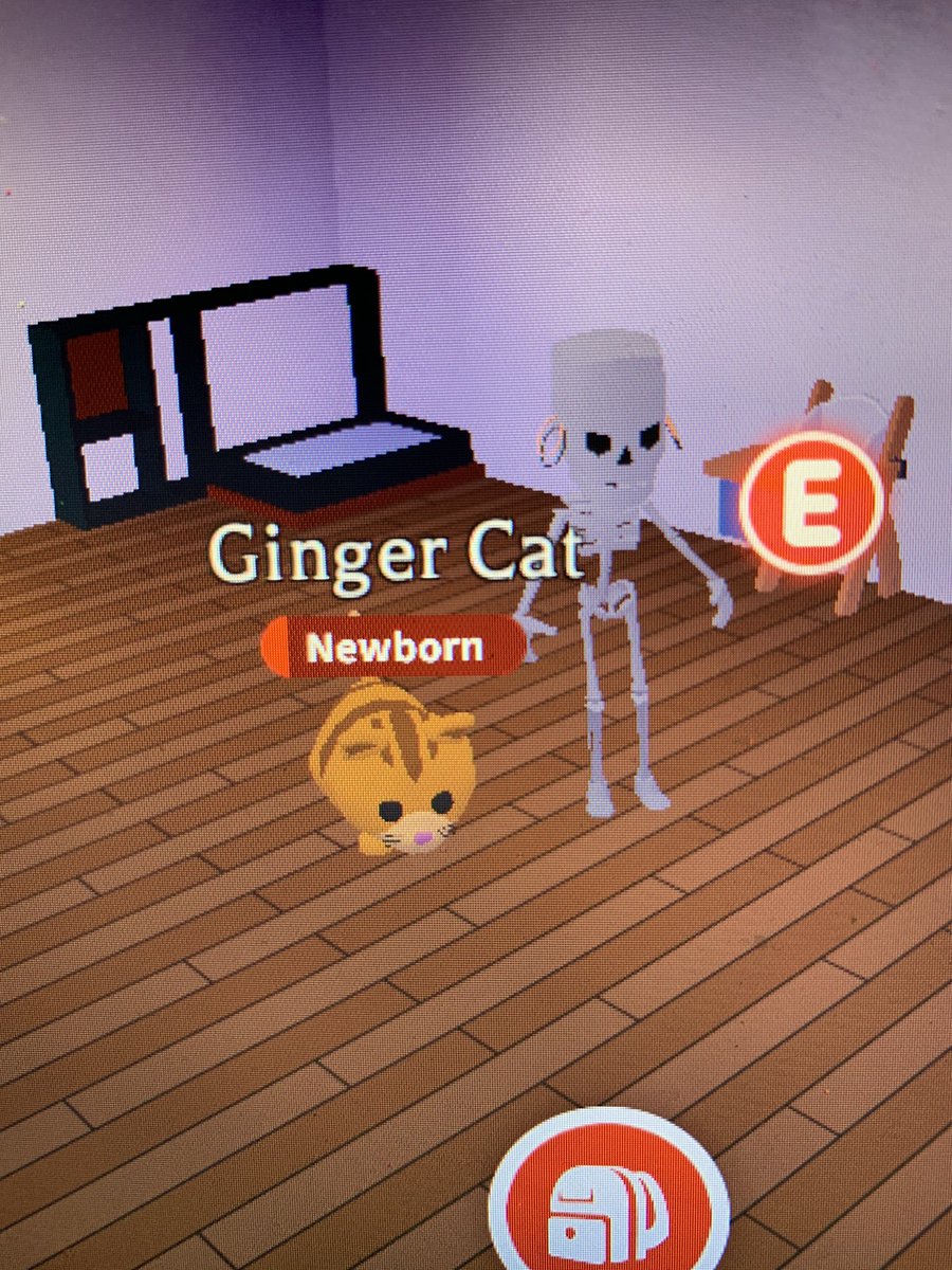 Adopt Me On Twitter They Re So Cute - roblox adopt neon ginger cat adopt me
