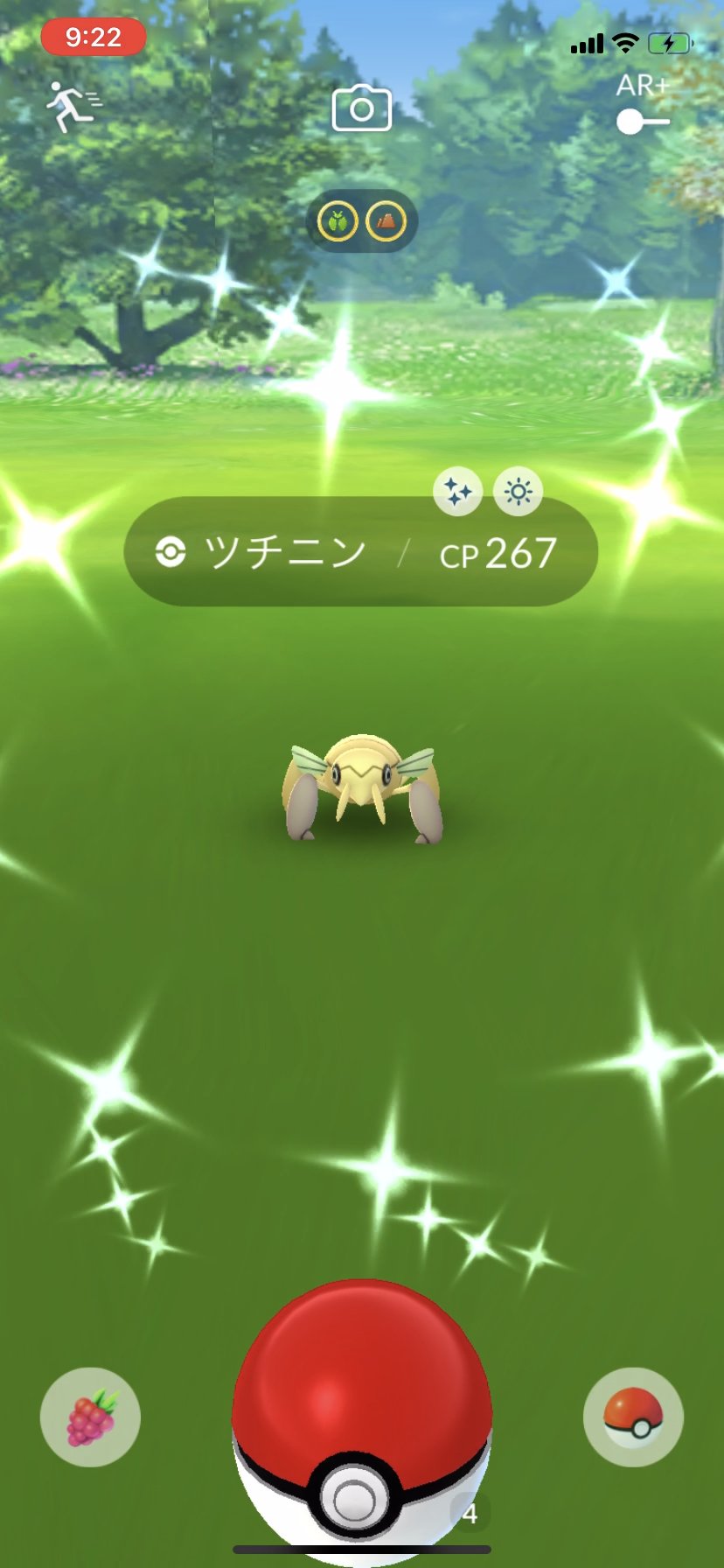 秋月 ポケgoカメコ 野生で捕まえた 旬な子get 色違い ツチニン ポケモンgo T Co Gdbh0e26h6 Twitter