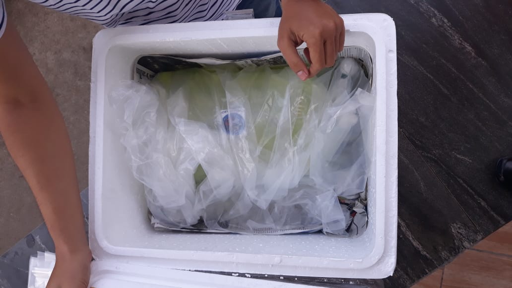 bppmhkp_pnk's tweet photo. 21/03 #OneHealthKIPM 
Cek Ulang Kesesuaian Dokumen, Volume, Jenis Media pembawa Arowana Super Red  sebanyak 1 Ekor 1 Koli Tujuan Surabaya.
@HumasBKIPM @miharjo3479 @kls_i @rinajanwar2201 https://t.co/qPcRvmB2Ze