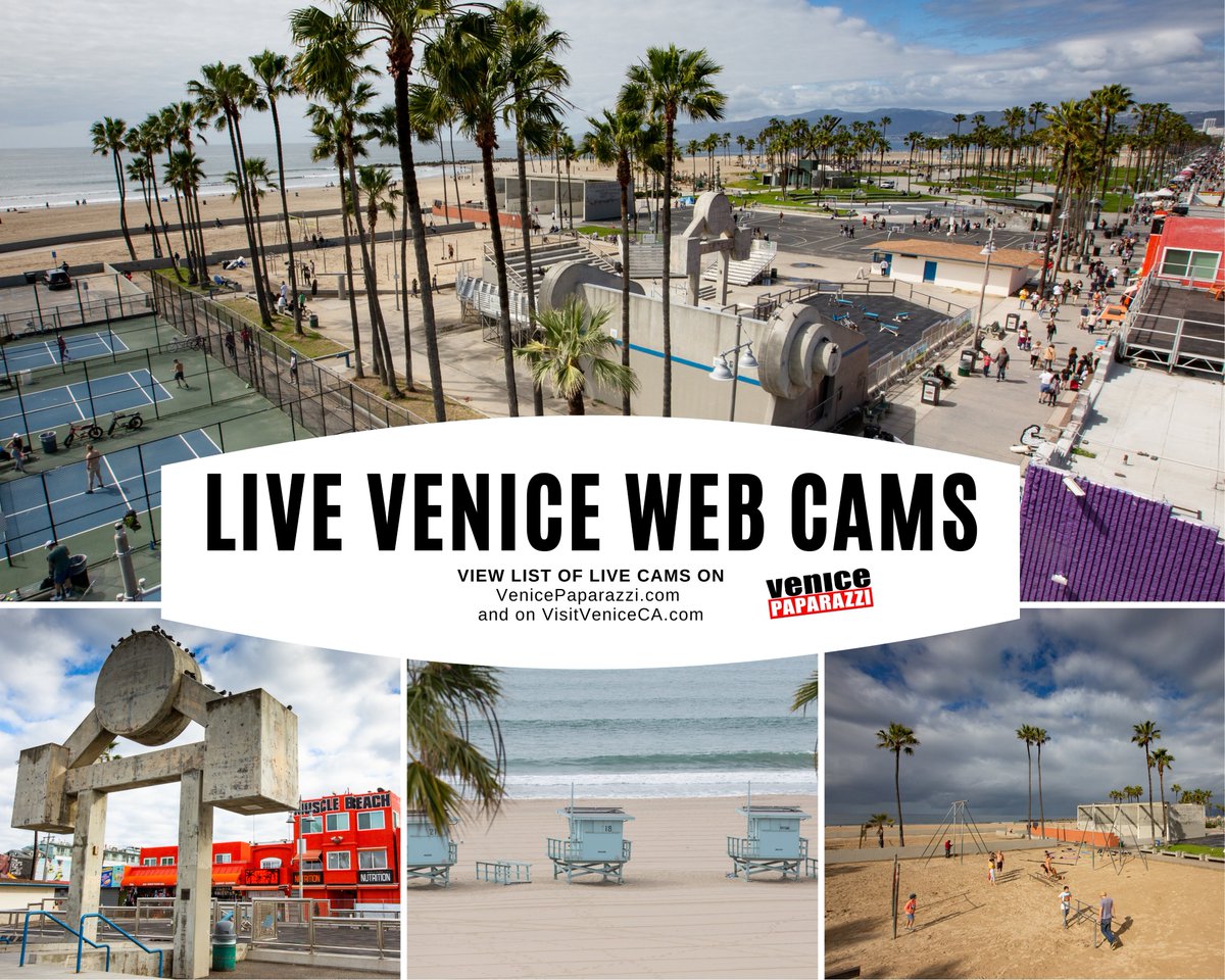 Venice Paparazzi tweet media