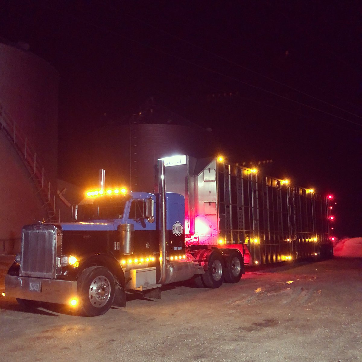 Almbee1's tweet photo. @brenthatley Thank you @brenthatley we will keep rolling to keep
America stocked and fed! #FTE I own my truck and I’m a just one truck But trying to do my part to keep this rolling and staying safe and healthy at the same time. https://t.co/jSeXQYRNTO
