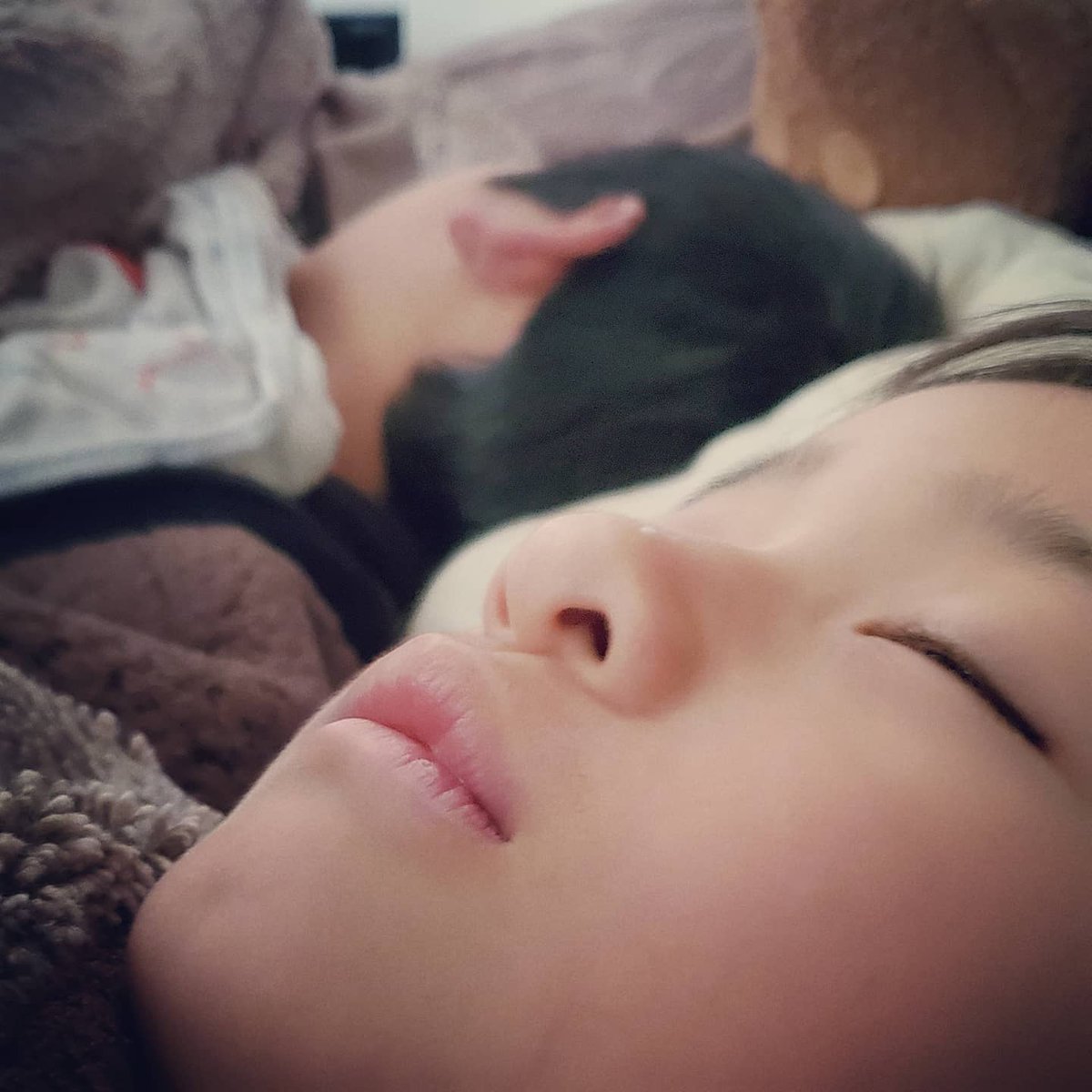 takki0224's tweet photo. 私が幸せを感じる時

朝起きて子供が横で寝息をたてながら寝ている時

何度も毎朝経験しても、やっぱり幸せを感じる

子供は何歳になっても寝顔は天使だわ

#子供寝顔 #子供のいる生活 #子供 #子供と暮らす #寝顔 #寝顔は天使 #寝顔シリーズ #ねがおが天使 #ねがお https://t.co/t8y4oLatiJ