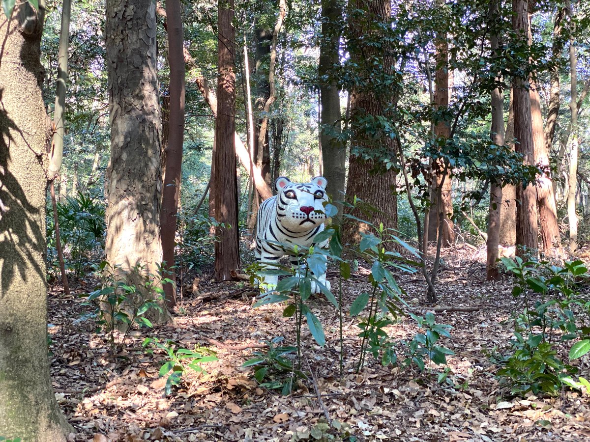 都心の森に彫刻作品が集合。「神宮の杜芸術祝祭」でアート散策を楽しむためのガイド
tokyoartbeat.com/tablog/entries…