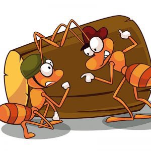 CoryJoyCraig's tweet photo. Captain’s Log Day 5 -
The battle continues against our foe. We have the upper hand. Two encampments have been found and destroyed. My intel suspects two more -one in the cupboard &amp; one in the attic. We will find &amp; destroy them. We will win! 🐜🐜🐜🎯👟☠️
#ants #toomuchtime #helpme https://t.co/Q64QsnZ0DM