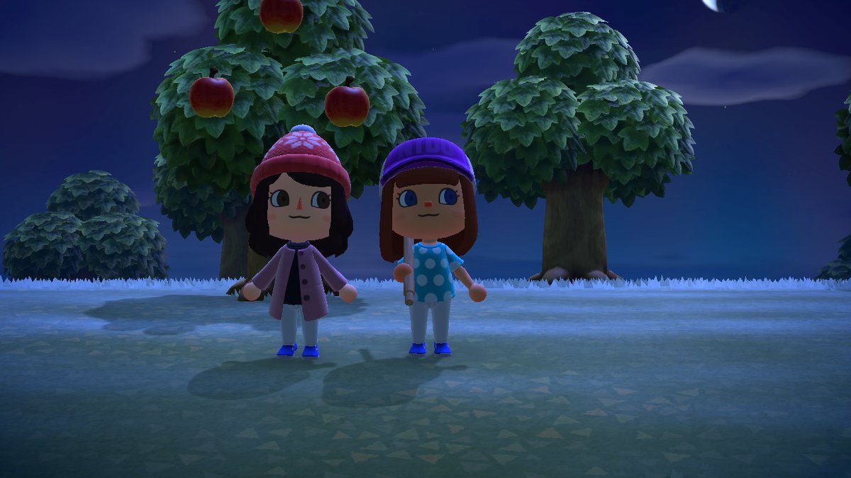 BlackJason94's tweet photo. Best Friends! #AnimalCrossing #ACNH https://t.co/0j3zUwzLdG