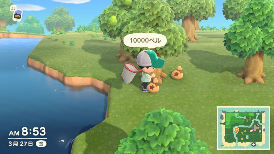 どうぶつ の 森 金 の なる 木