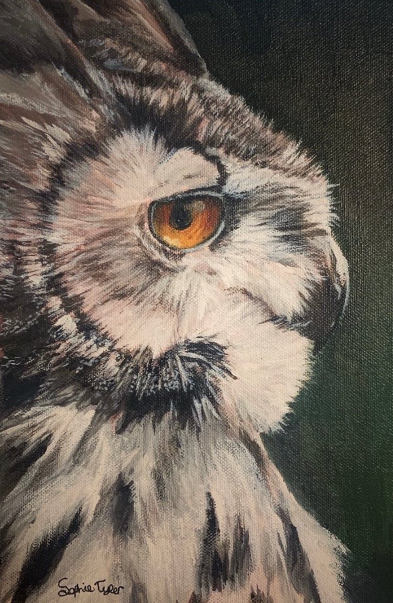 instagram.com/p/B91ot0BFDdd/…