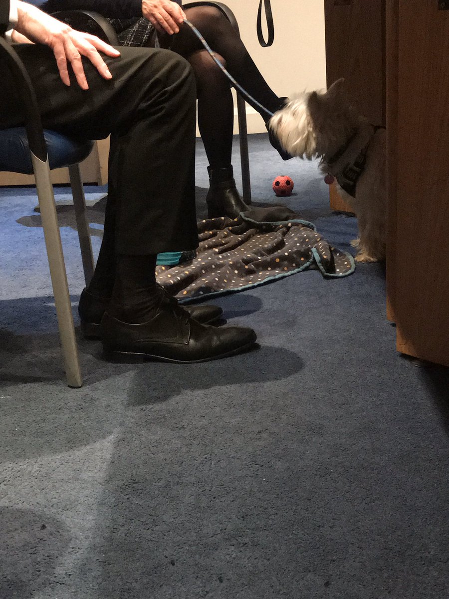 robindashrink's tweet photo. #PupsProgress: Day572
#carer #support group at #SpringLane #carehome: last week’s held away from #carehome due to #CoronaCrisis Physical meetings now forbidden☹️
@MuswellHillNews @Muswellife @DementiaUK @DementiaFriends @ViviT #DementiaUncovered @alzheimerssoc @mikewwilliams https://t.co/NNTdo8tqsI