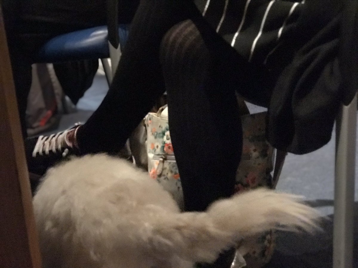 robindashrink's tweet photo. #PupsProgress: Day572
#carer #support group at #SpringLane #carehome: last week’s held away from #carehome due to #CoronaCrisis Physical meetings now forbidden☹️
@MuswellHillNews @Muswellife @DementiaUK @DementiaFriends @ViviT #DementiaUncovered @alzheimerssoc @mikewwilliams https://t.co/NNTdo8tqsI