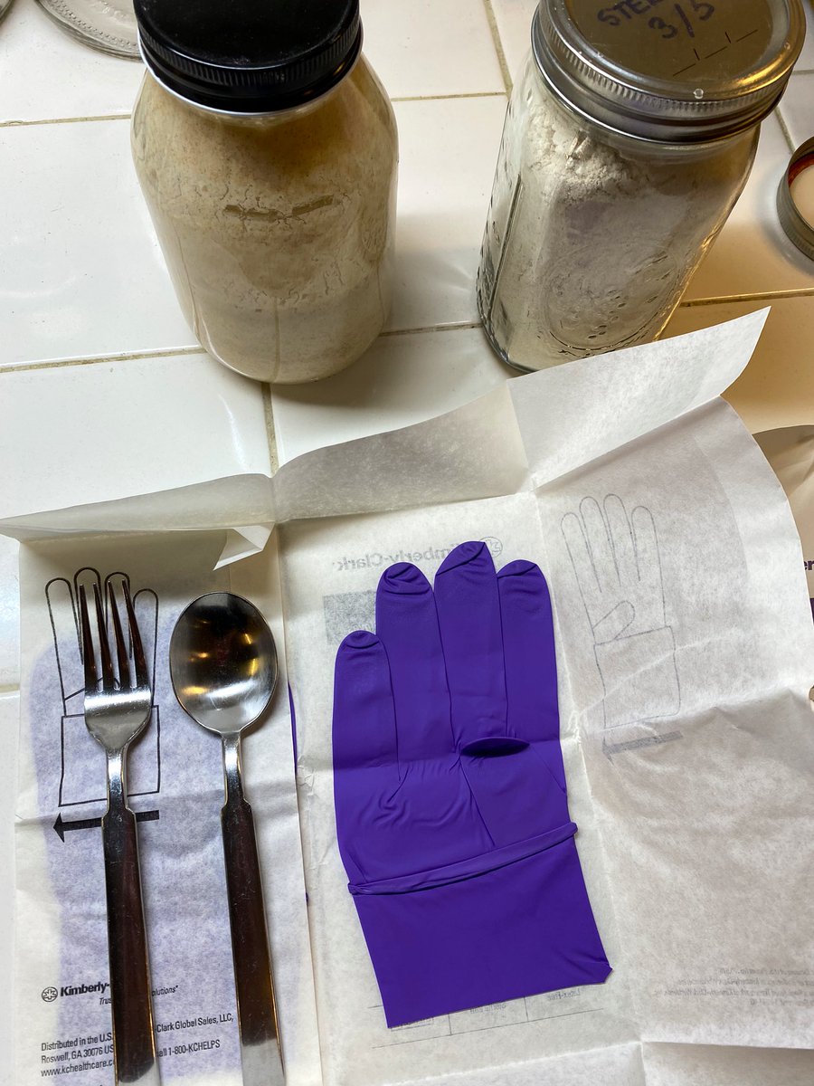 We a/c some stainless steel utensils, and, under a UV lamp that kills airborne microbes, with sterile gloves, we feed the precious (hopefully) 4500 year old cultures. [we have the pure samples in a real bio lab so while this is important, there’s no danger I’ll lose them here]