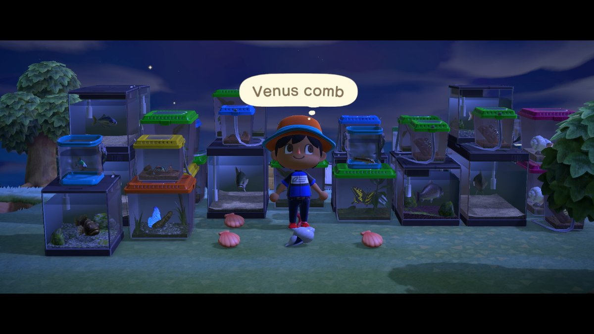 Edgar (Quezel) tweet media