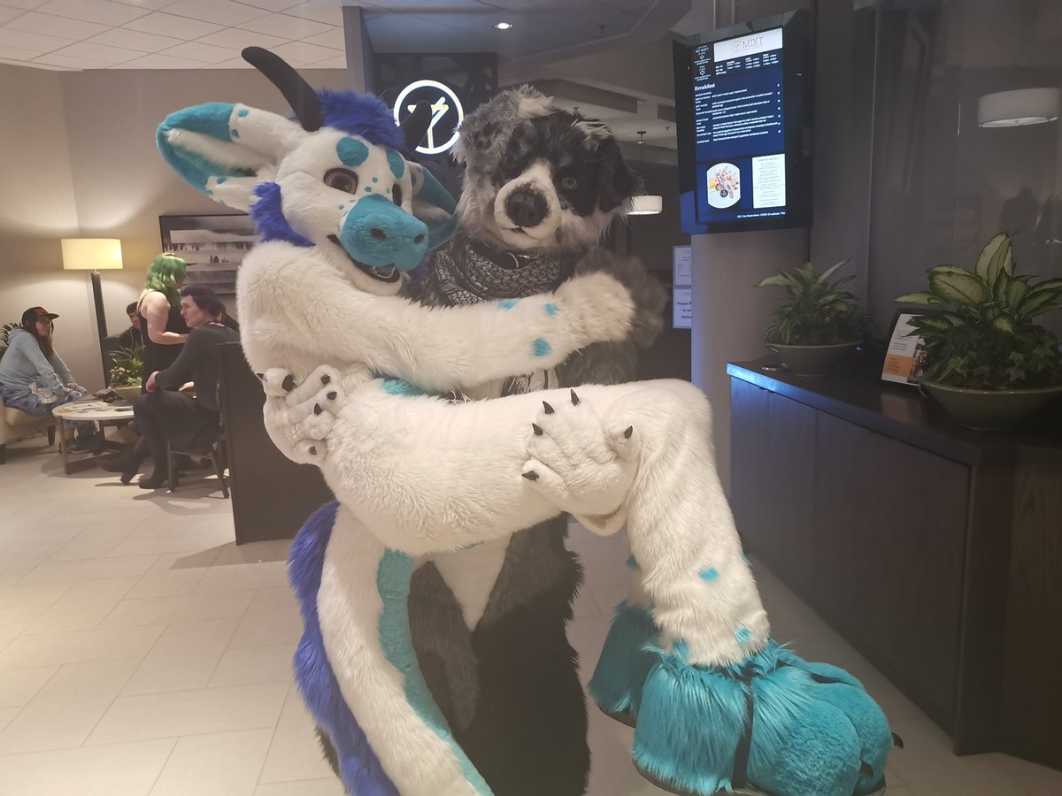 CaptainChaotika's tweet photo. Leaving Canada today, a bit earlier due to FE being canceled etc..

Thank you so much @TurboShamu for hosting me at VF and showing me around Vancouver! <3

And the same to @LumenSergal who I stayed with in Toronto and who made it as enjoyable as possible in these circumstances. https://t.co/u0mkk5f69e
