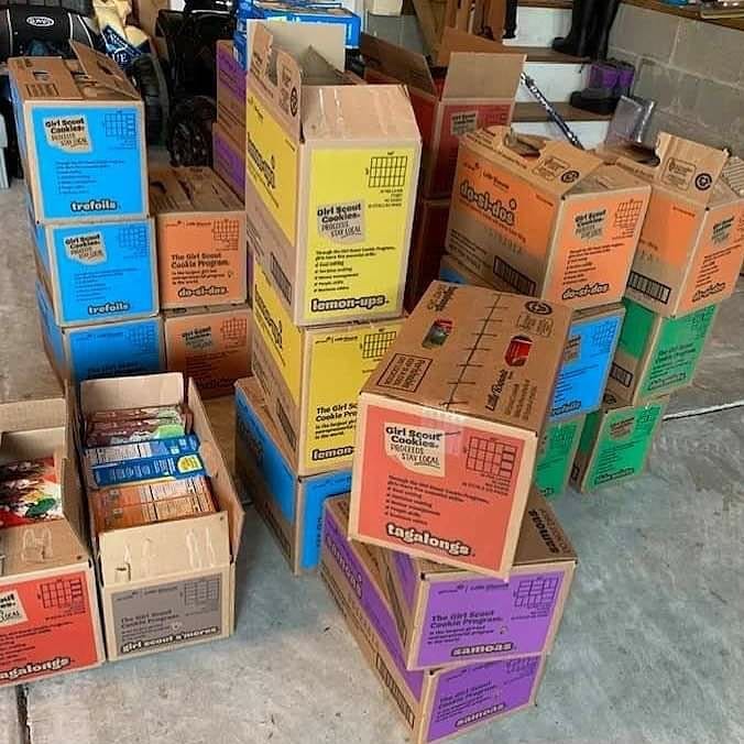 lisamarieotto's tweet photo. Troop 916 is stuck with cookies we can’t go out and sell due to COVID-19. Please pass along and help us offload. Cookies are $4-$5/box. We can do a no-contact dropoff to you or we can deliver a Cookies Coronagram to someone you love. https://t.co/L8r7Jw3nQF
