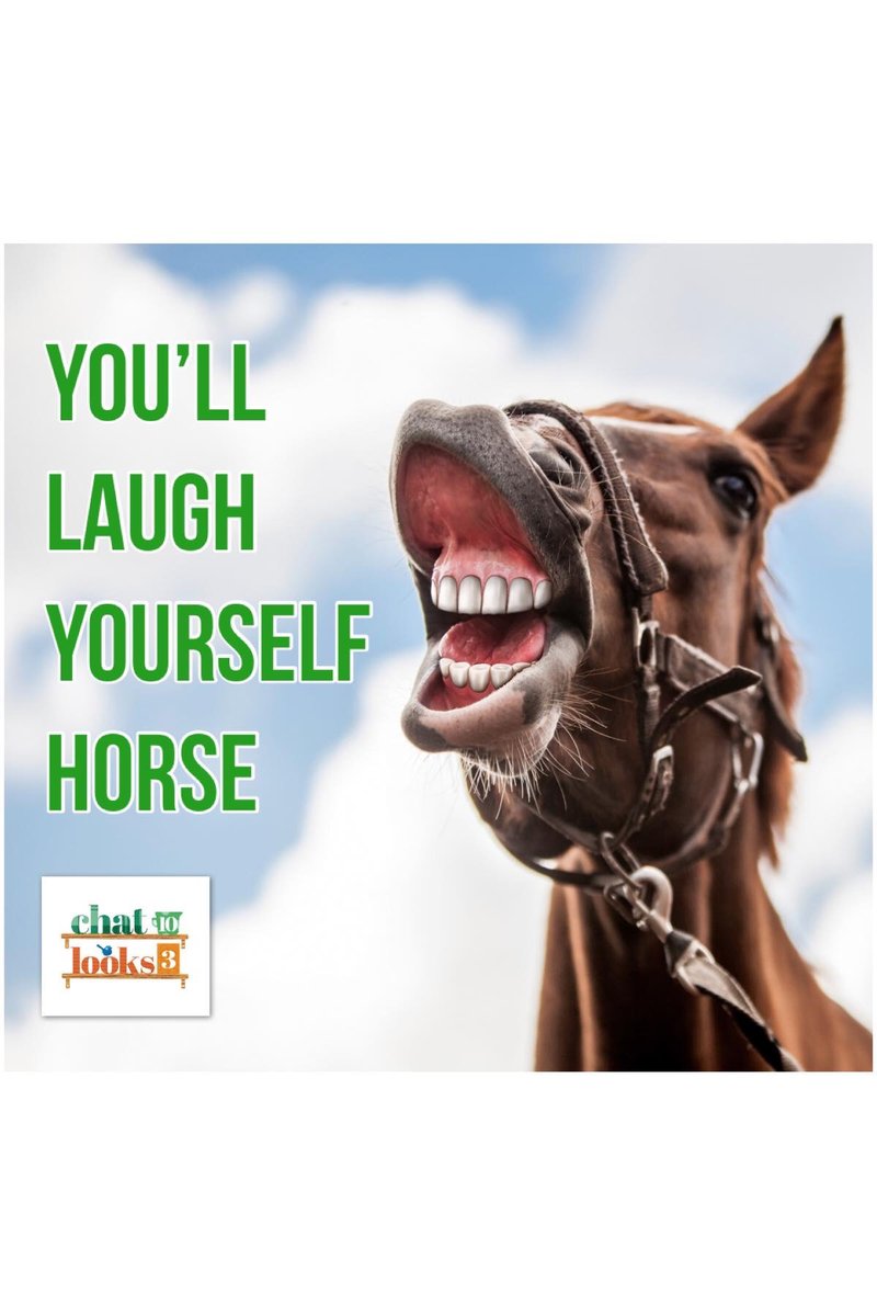 Hay - got a long face right now? Need a pick-me-up? Catch Crabb and Sales’ Facebook show from Friday night... you’ll laugh yourself horse. facebook.com/chat10looks3/v…