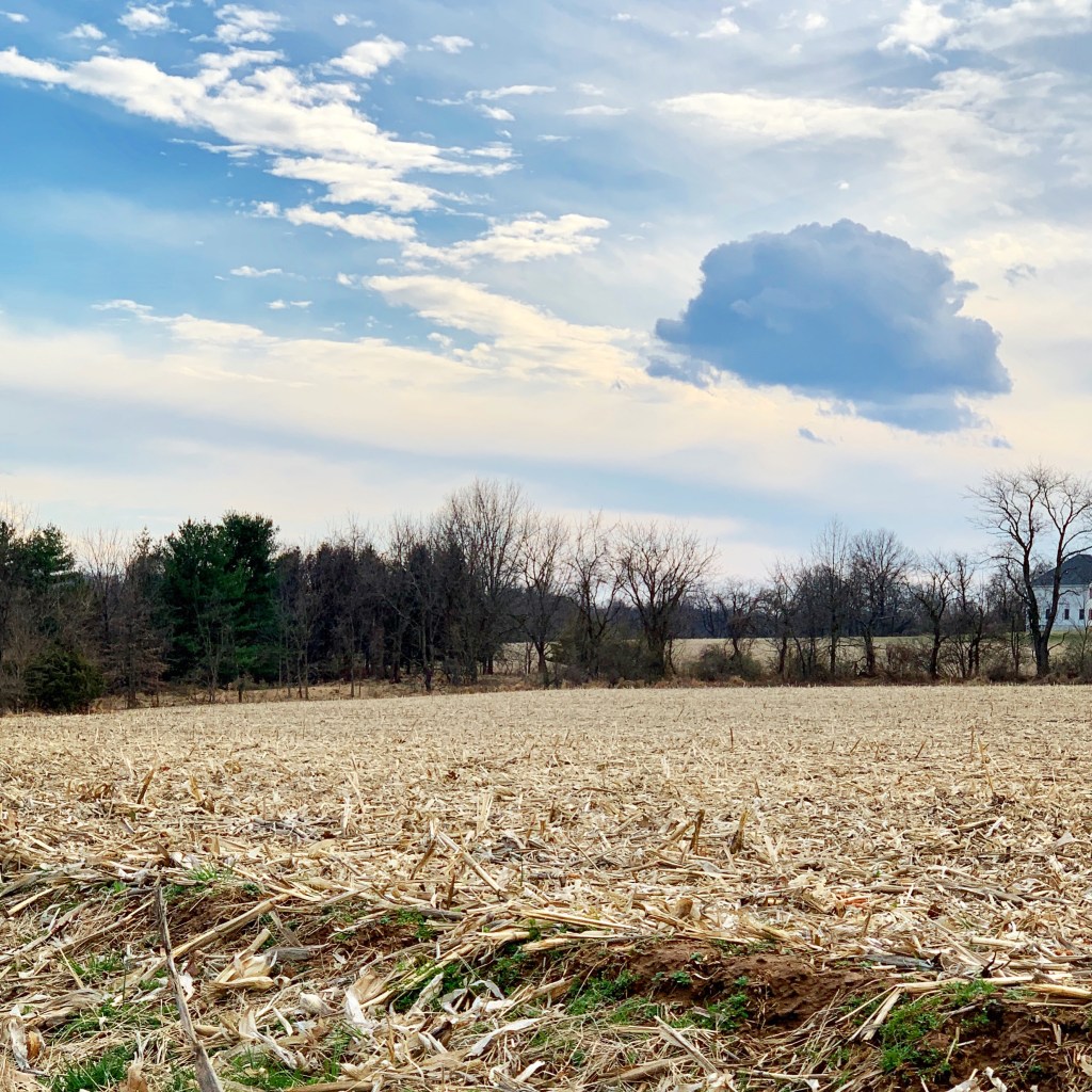 live_read_write's tweet image. The Quiet Grace of Hope erikacrowl.com/the-quiet-grac…