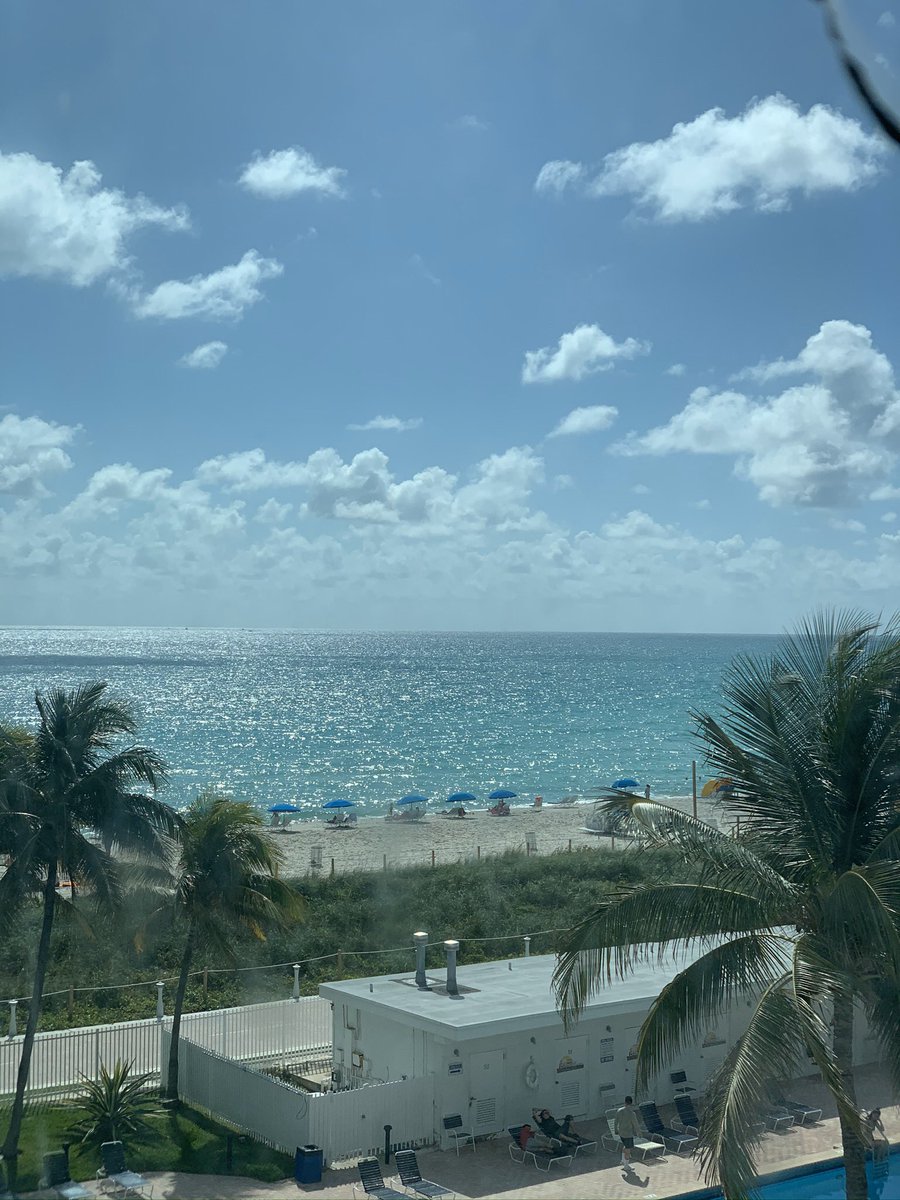 cody_2dogs's tweet photo. Somebody take me back to Florida https://t.co/47xrcY4AYz