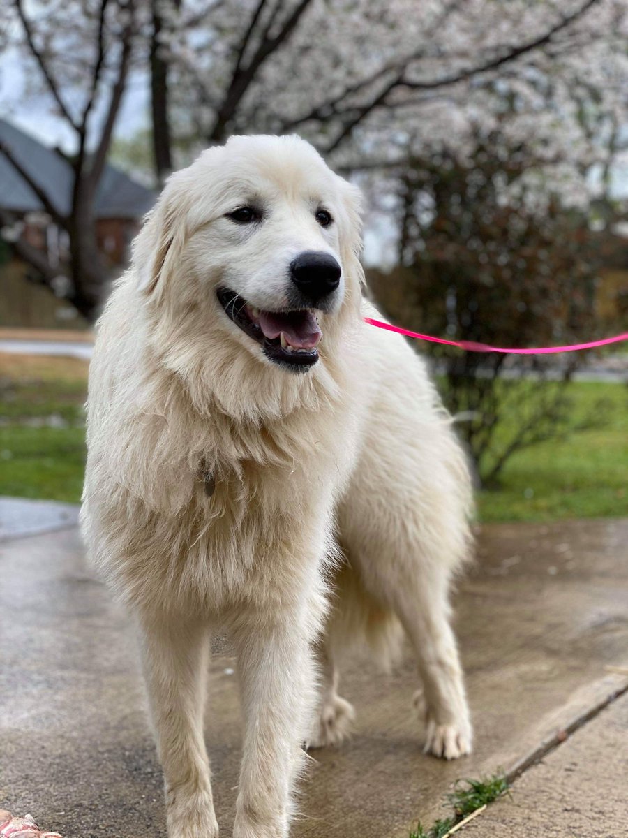 A good way to end a stressful week. #dontPutBabyInACorner #ForBabyGirl #Forrescue