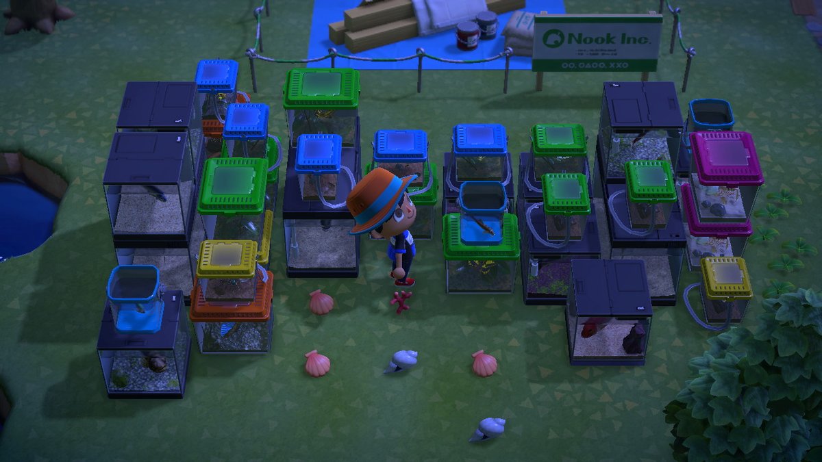 Edgar (Quezel) tweet media