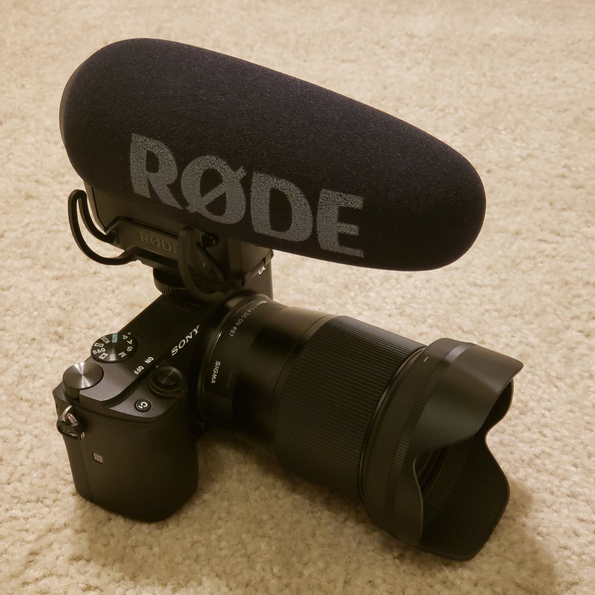 EPIC_BLASIAN's tweet photo. Getting ready for war...😁😁😁
.
.
.
#sonya6400 #a6400 #youtube #YouTube #rodevideomicproplus #rodevideomic #rodevideomicpro #camera #cameragear #mysetup #warready #epicblasian #vlog #vlogger #vlogging #shortfilm ##indiefilm #cinematic #cinematography https://t.co/IyC7O6MEHK