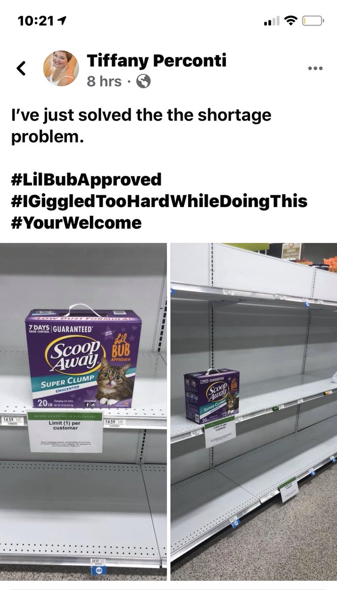 TPerconti's tweet photo. #Covid_19 #ToiletPaperApocalypse #lilbubapproved #kittylitter #ThinkOutsideTheBox #TPproblemsolved https://t.co/D2IrNMh5Hl
