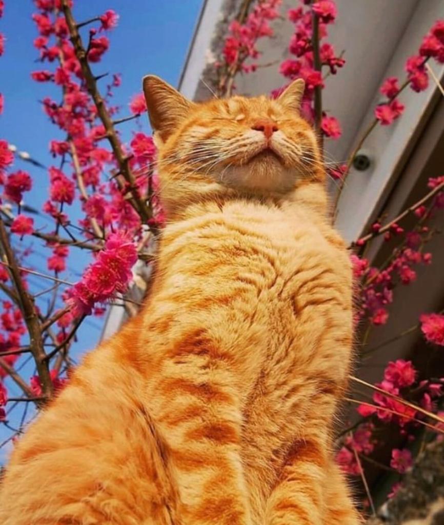 Екатерина Кот (@hpc9ul4fvp92pza) on Twitter photo 