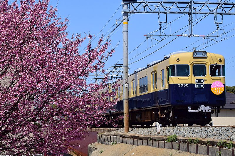 貴志川太郎／コトキチ／クハ１０５大好き＠京都ＬＯＶＥ on Twitter