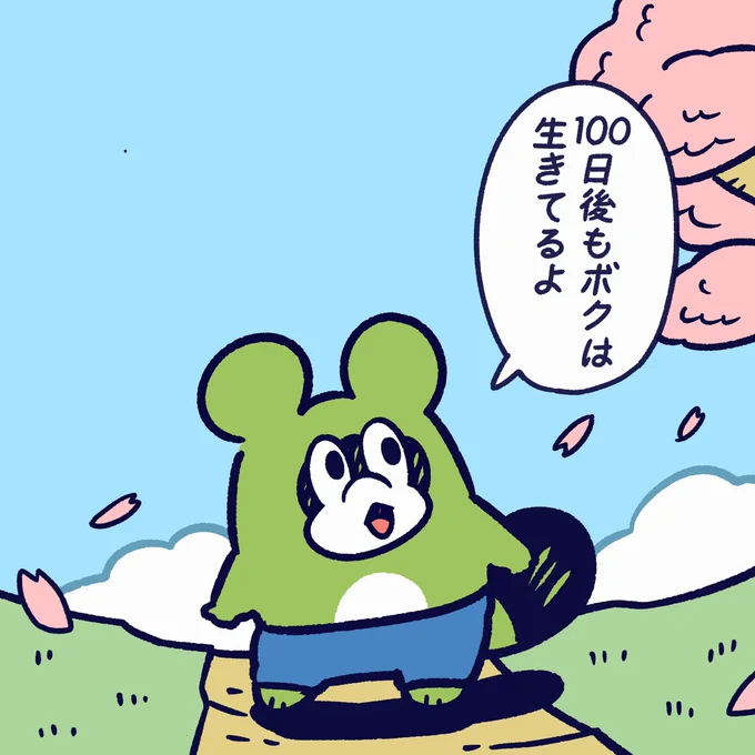 900日間生きつづけているタヌキがこちらです?#今日のポコタ #イラスト #マンガ #100日後に死ぬワニ 