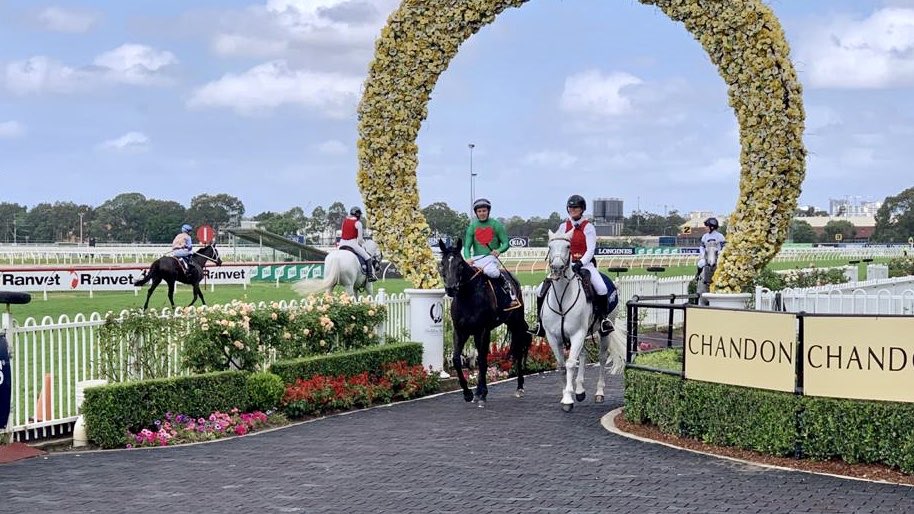 Bjorn Baker Racing (@bbakerracing) on Twitter photo Goal achieved for Missybeel 👊- some desirable black type winning the Gr3 Epona Stakes. Great result, Savabeels are hard to beat. Had a tough week, nice to get some good news. Lovely win for our loyal owners 👏
<a href="/WaikatoStud/">Waikato Stud</a> @atc_races <a href="/inglis_sales/">Inglis</a> <a href="/BlandfordBldstk/">Blandford Bloodstock</a> Goal achieved for Missybeel 👊- some desirable black type winning the Gr3 Epona Stakes. Great result, Savabeels are hard to beat. Had a tough week, nice to get some good news. Lovely win for our loyal owners 👏
<a href="/WaikatoStud/">Waikato Stud</a> @atc_races <a href="/inglis_sales/">Inglis</a> <a href="/BlandfordBldstk/">Blandford Bloodstock</a>