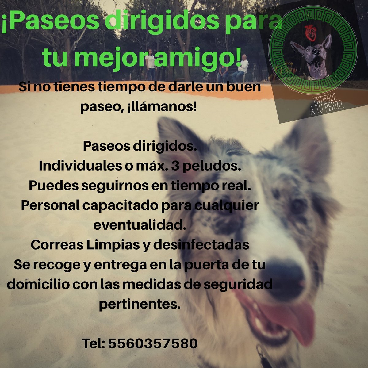 EntiendeA's tweet photo. CDMX! https://t.co/9LFaysVvi5