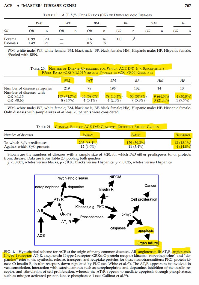 Is angiotensin I-converting enzyme a "master" disease gene?ACE D/D genotype...associated w/ increased levels of tissue ACE expression at protein level...overactivity of ACE...involved in pathogenesis of common diseasesACE inhibition=treatment/prevention. https://www.ncbi.nlm.nih.gov/pubmed/12458570 