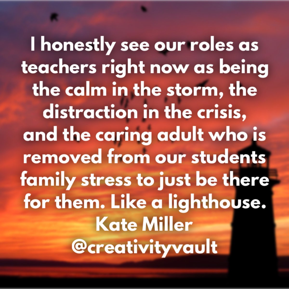 Kate Miller tweet media