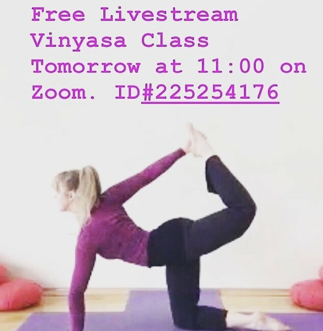 TriangleYogaNC's tweet photo. Join Rebecca Saturday March 21 on Zoom! #zoom #yoga #yogaclass #vinyasaflow #flow @triangleyoganc https://t.co/4WafCU4eF3 https://t.co/EvdnN0mKQt