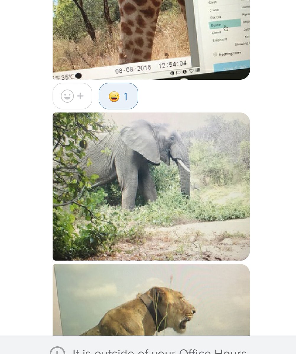 It was so great seeing my students' faces today. Did a zoom call with each period....yes, 5 hours of zoom today! Then one student sent me this text because he was so excited of the animals he got to see in Africa for the research I have them doing. #lovemyjob <a href="/sdzsafaripark/">San Diego Zoo Safari Park</a>