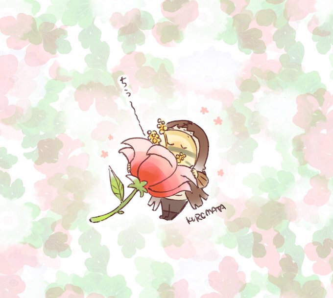 天然記念豆 ハチドリちゃん 