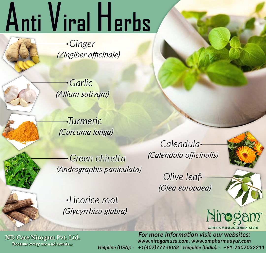 guruhulan's tweet photo. #nokiss π #coronavirus #NoSmoke π #world π·
#savepeople #stopnonveg
eat vegetables #WashYourHands every #2hours
RAISE your #immunepower of lymphocytes #StopTheSpread
#virusreplication stay at home
π__1-2m_in distance__π©
don't go crowded area https://t.co/wKCeg92mBr