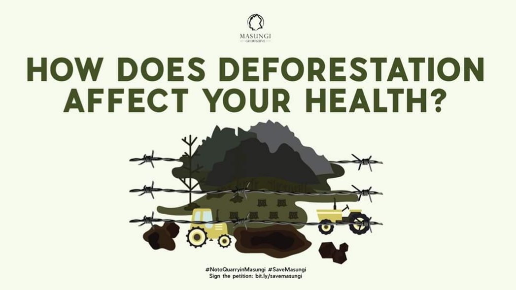 gpph's tweet photo. There's a deeper connection between you and our forests. 🌲🌳 

#InternationalDayofForests #SaveMasungi (1/3) https://t.co/LI6CEOKiZ7