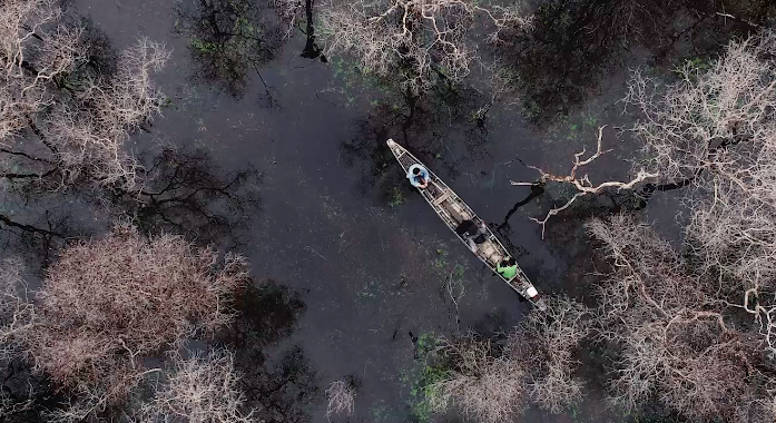 UNDPThailand's tweet photo. วันนี้เป็นวันป่าไม้โลก 🌳🌍
ตามอนันดา เอเวอริ่งแฮม มาดูกันว่าทำไมพรุควนเคร็งถึงสำคัญกับชาวบ้านในภาคใต้
It’s #IntlForestDay 🌳🌍
Watch the video 📺 and find out why #PeatSwamp forest is a real lifesaver for people in Southern Thailand. #2020SuperYear
👉https://t.co/wzIFBpN8Yu https://t.co/rL2ogc12RH