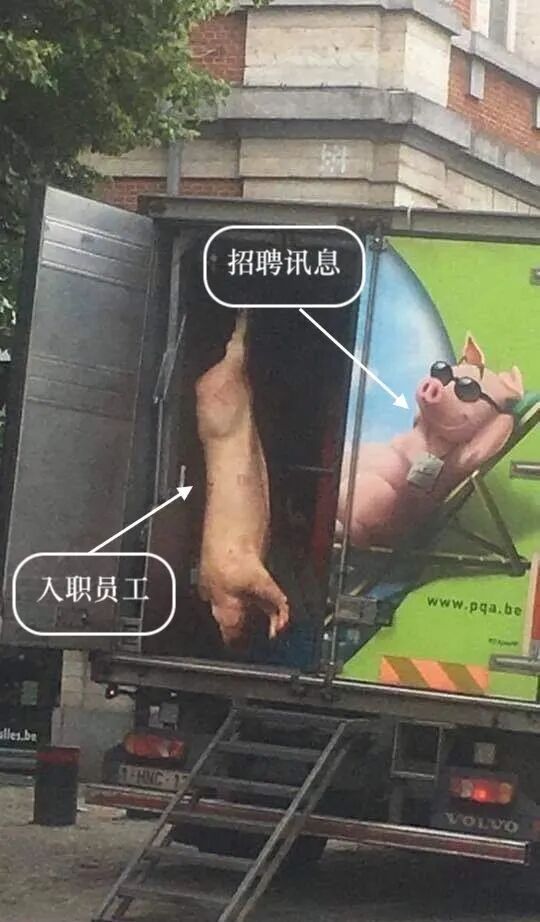 昏睡红茶 (@hikaru095) on Twitter photo 