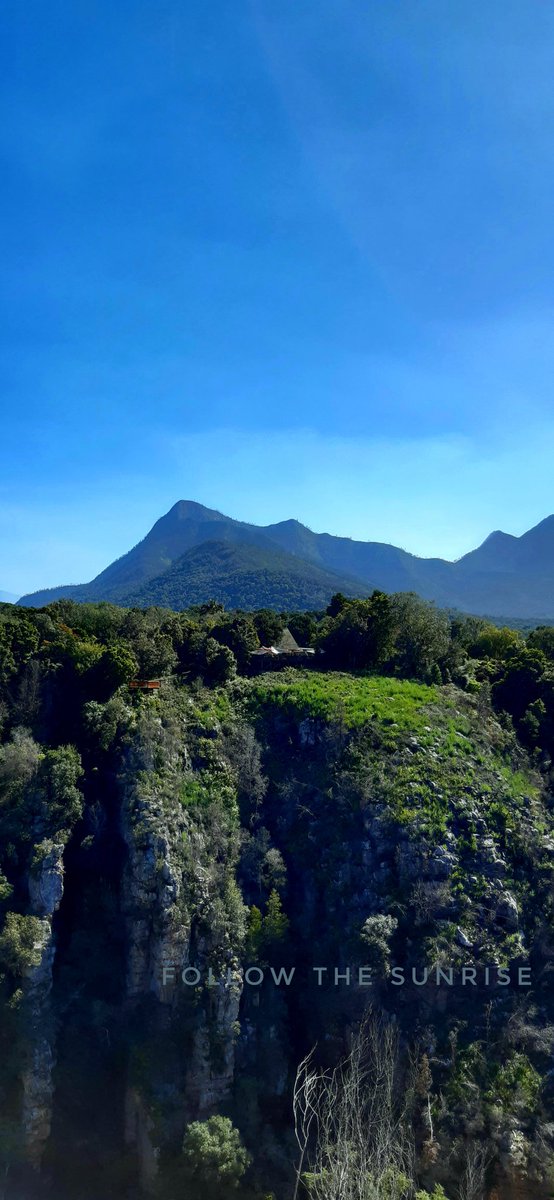 Lesego Semenya tweet media
