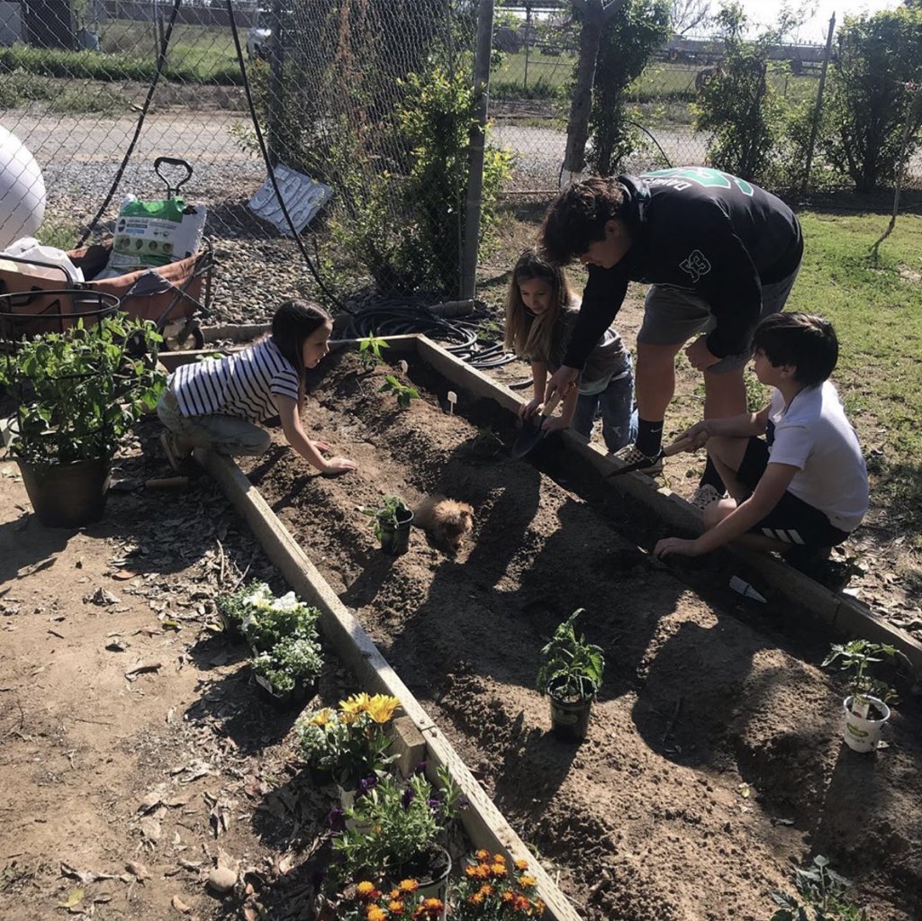 doinglifein5th's tweet photo. Working on our “electives” 🏠📚 #homeschool2020 https://t.co/uU93vmjnYK