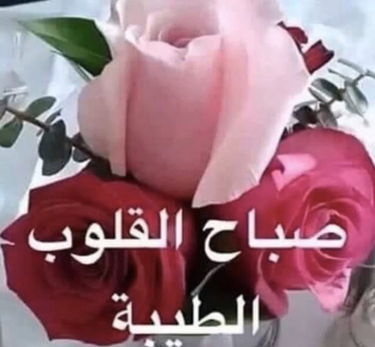<a href="/3olvXsX/">بكر</a>