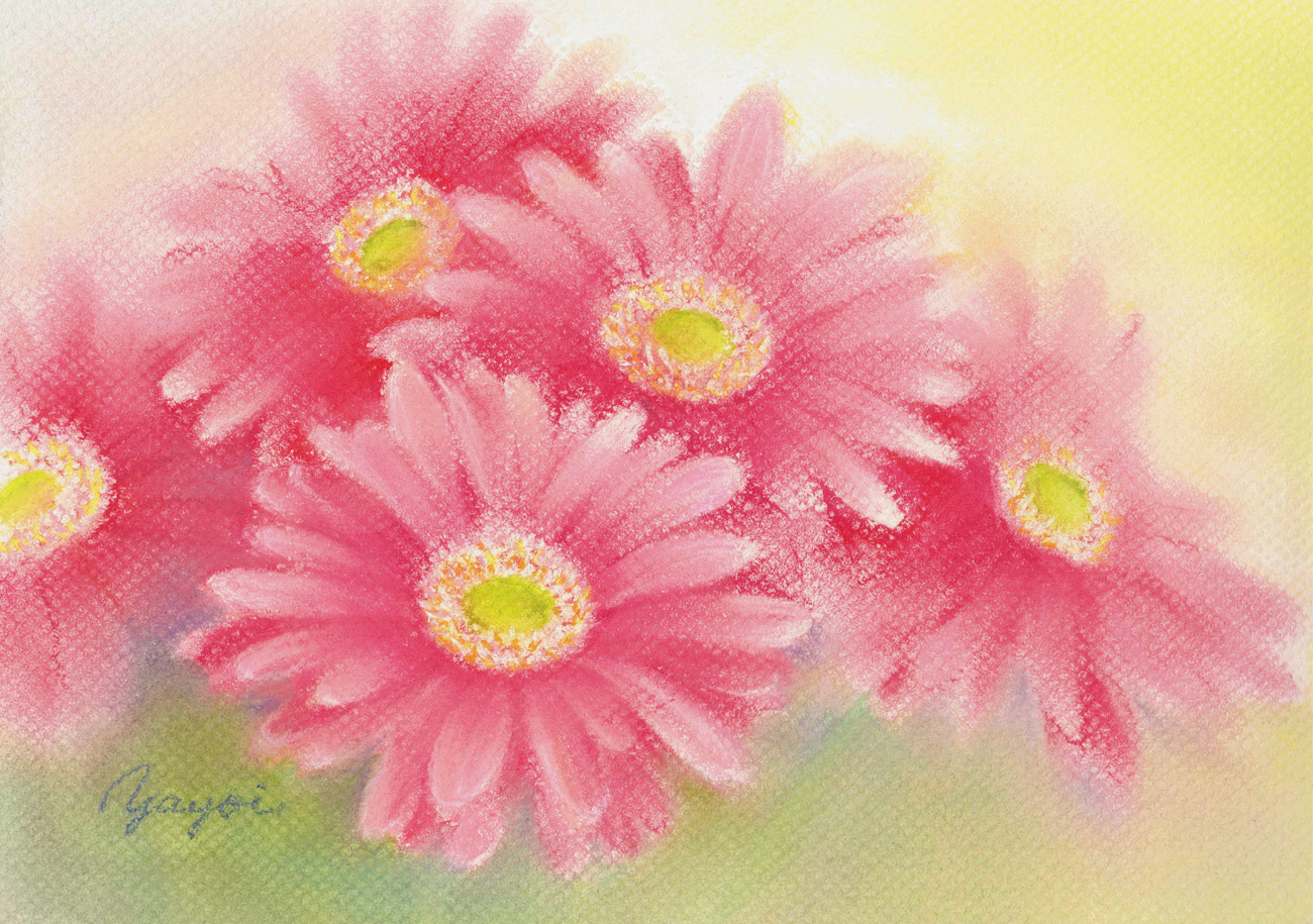 تويتر Yayoi على تويتر パステルで描いたガーベラです パステル画 花の絵 T Co ieearfhy