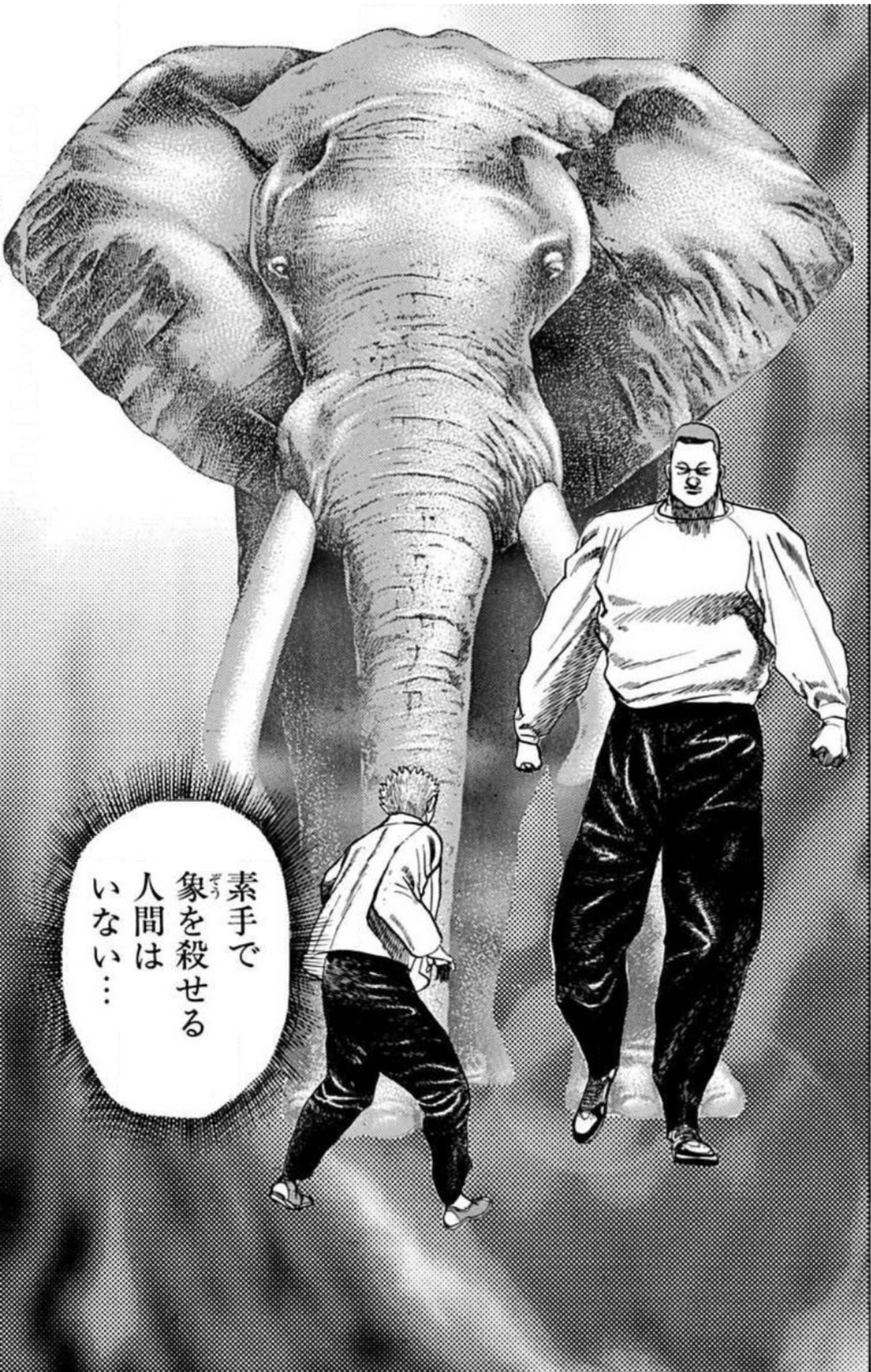 笑面虎イトちん イwト 素手で象を殺せる人間はいない T Co Jwri4nhhwq 笑面虎イトちん イwト 素手で象を殺せる人間はいない T Co Jwri4nhhwq