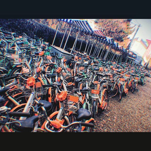 Bowl of oranges...
-
Like the petrified remains of an ancient army preserved by time, or maybe something more akin to the streets of Amsterdam...
-
#Orange #Bike vs. #Ddareungi #LostInTime #ForgottenButNotGone #HiddenKorea #BicycleGraveyard #GraveYar… ift.tt/2wqsj4Z