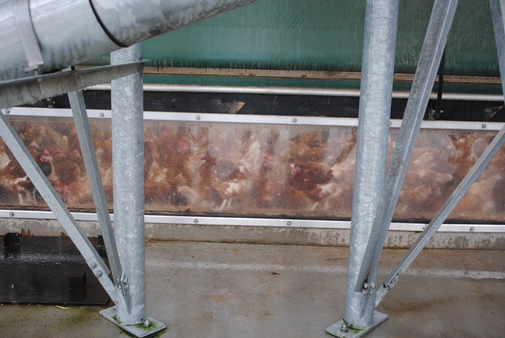 Nieuw geval van #vogelgriep in Duitsland: #Ophokplicht blijft voorlopig van kracht pluimveeactueel.nl/nieuwsartikel/…