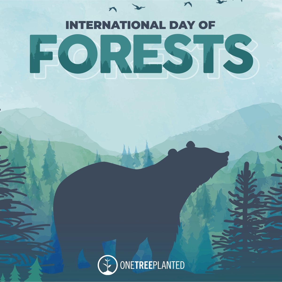 We're proud to be planting trees across the globe through One Tree Planted and raising awareness for #InternationalDayOfForests It's now more important than ever to help combat climate change and do what we can. #climatechange #impact #sustainability